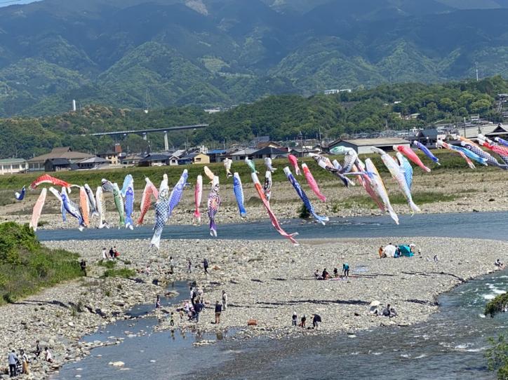 <font color='blue' size='2'>5月！紀ノ川に色とりどりの鯉のぼりが沢山挙げられていた！</font>