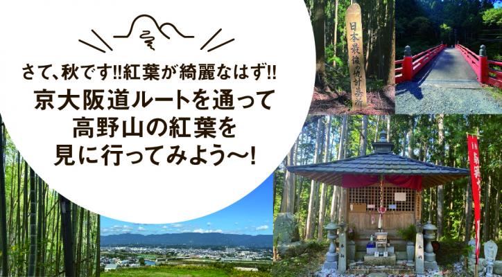 さて、秋です！！紅葉が綺麗なはず！！京大阪道ルートを通って高野山の紅葉を見に行ってみよう〜！