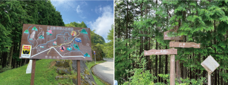 <font color='blue' size='2'>青空の下に現れたカラフルな案内標識、『危険!!クマ出没』の貼り紙とヒノキの間から顔を出す案内標識</font>